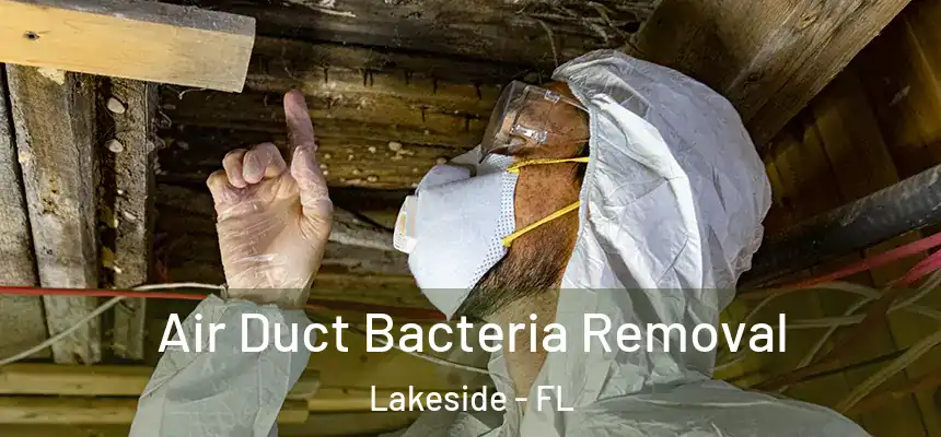  Air Duct Bacteria Removal Lakeside - FL
