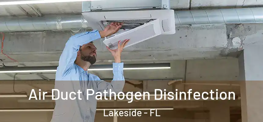 Air Duct Pathogen Disinfection Lakeside - FL