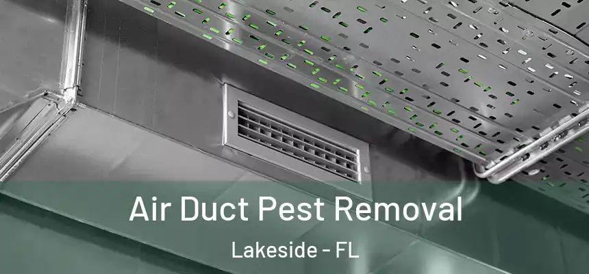 Air Duct Pest Removal Lakeside - FL