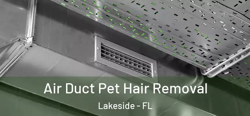 Air Duct Pet Hair Removal Lakeside - FL