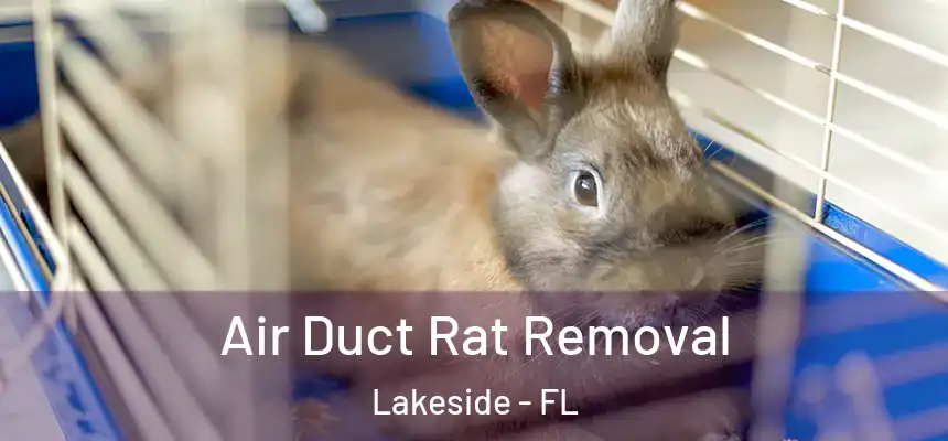 Air Duct Rat Removal Lakeside - FL