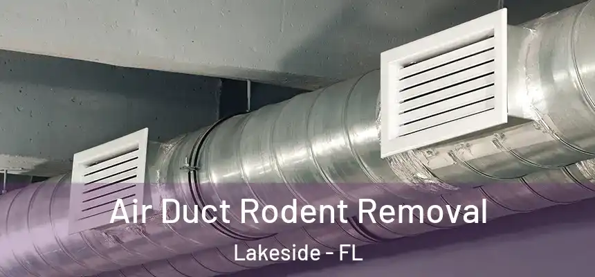 Air Duct Rodent Removal Lakeside - FL