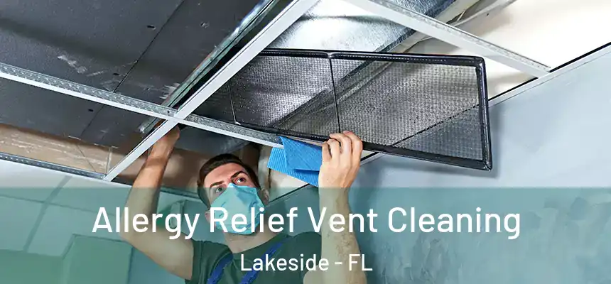 Allergy Relief Vent Cleaning Lakeside - FL