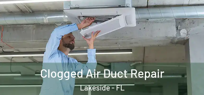  Clogged Air Duct Repair Lakeside - FL