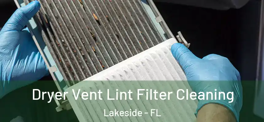  Dryer Vent Lint Filter Cleaning Lakeside - FL