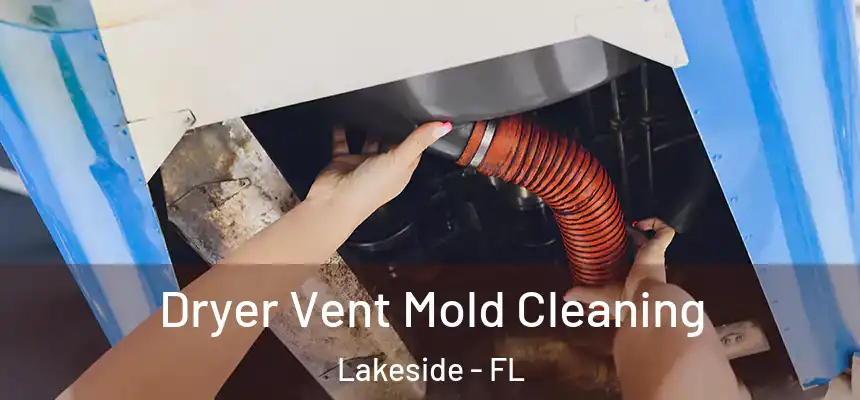 Dryer Vent Mold Cleaning Lakeside - FL