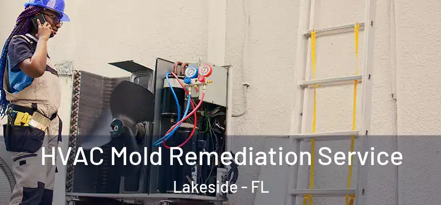 HVAC Mold Remediation Service Lakeside - FL