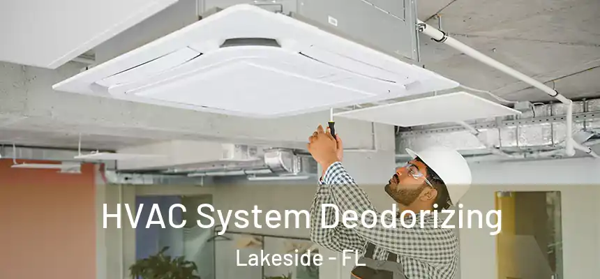  HVAC System Deodorizing Lakeside - FL