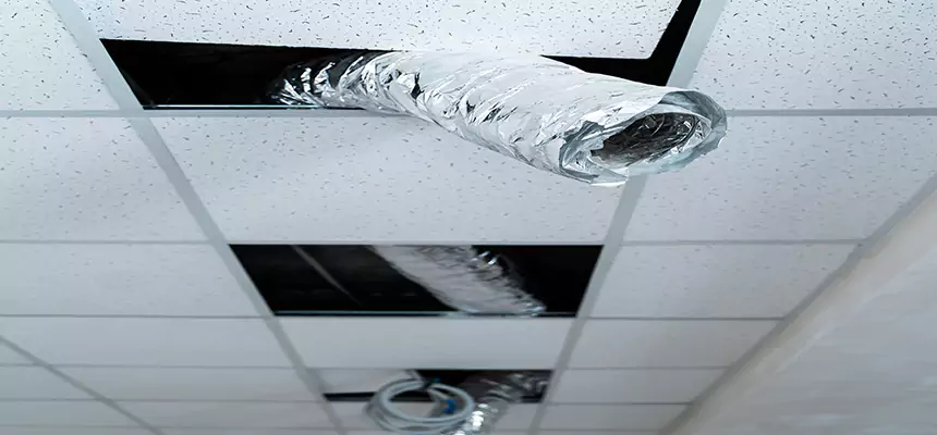 Our Air Duct Pet Hair Removal Services in Lakeside, FL