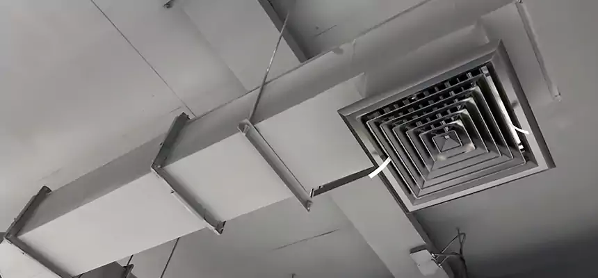 Our Rodent Droppings In Vents Services in Lakeside, FL