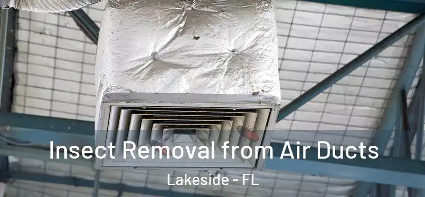 Insect Removal from Air Ducts Lakeside - FL