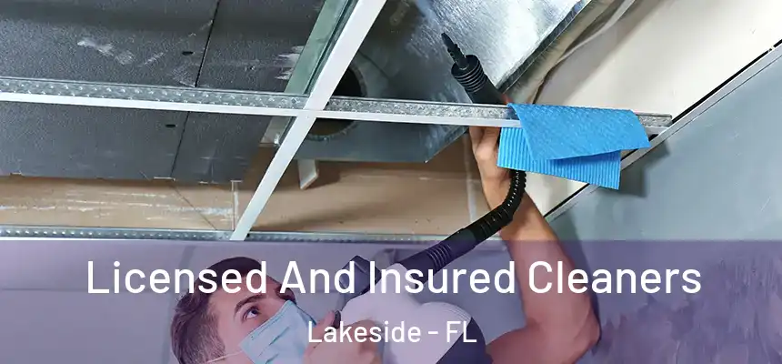 Licensed And Insured Cleaners Lakeside - FL