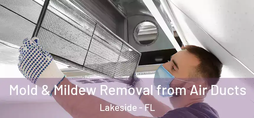 Mold & Mildew Removal from Air Ducts Lakeside - FL