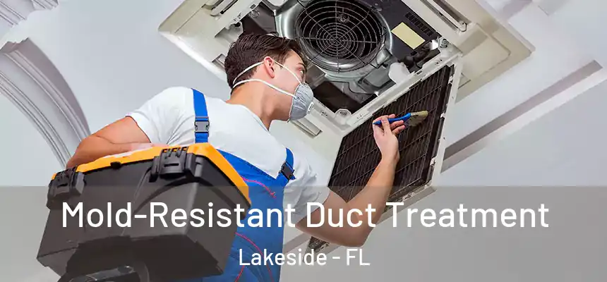 Mold-Resistant Duct Treatment Lakeside - FL