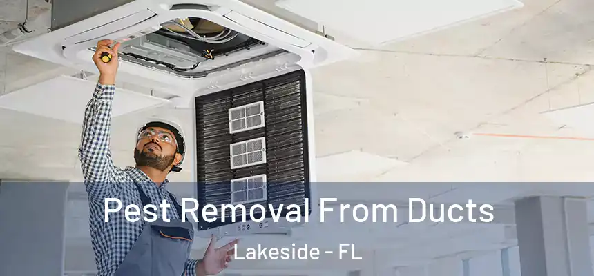 Pest Removal From Ducts Lakeside - FL