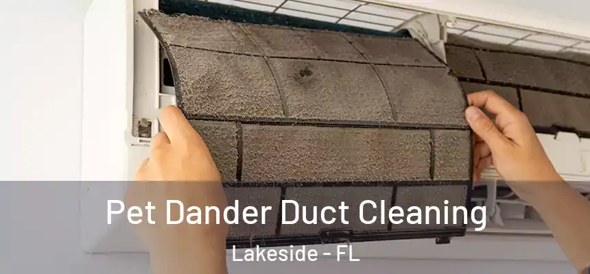 Pet Dander Duct Cleaning Lakeside - FL