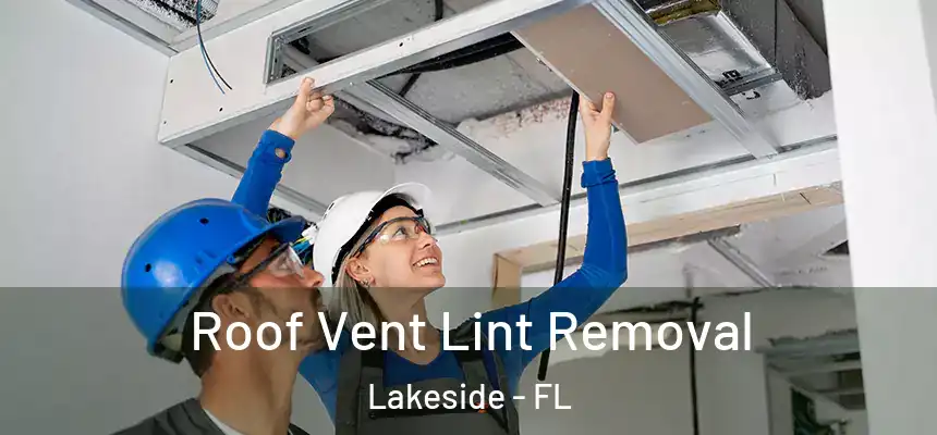Roof Vent Lint Removal Lakeside - FL