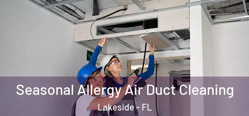 Seasonal Allergy Air Duct Cleaning Lakeside - FL