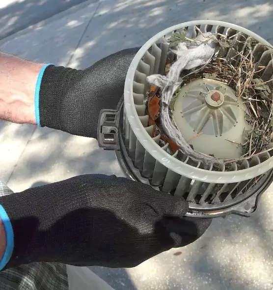 About Air Duct Rat Removal in Lakeside, FL