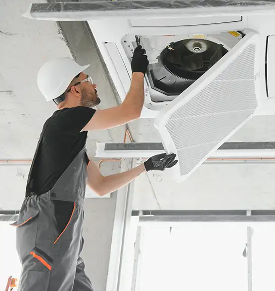 About Air Duct Rodent Removal in Lakeside, FL