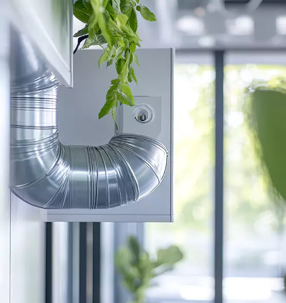 Professional Eco-Safe Dryer Vent Cleaning in Lakeside, FL