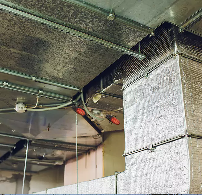 Why Homeowners & Businesses Trust Us in Lakeside, FL?